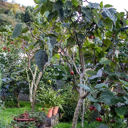 Villa Karibo By Escape To Madeira