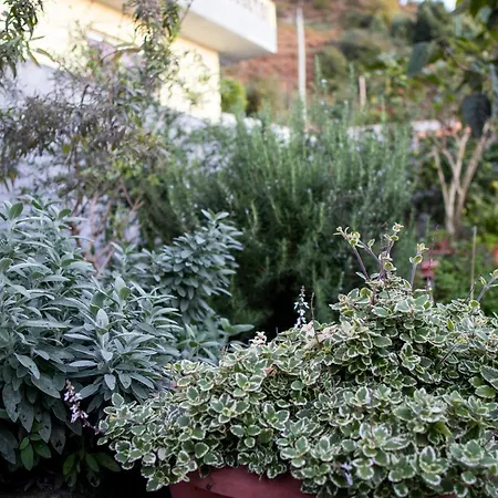 Karibo By Escape To Madeira