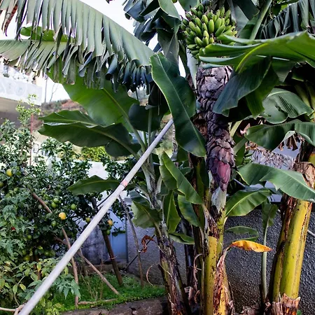 Karibo By Escape To Madeira *