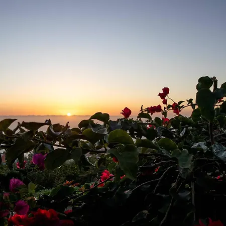 Karibo By Escape To Madeira * Achada de Cima