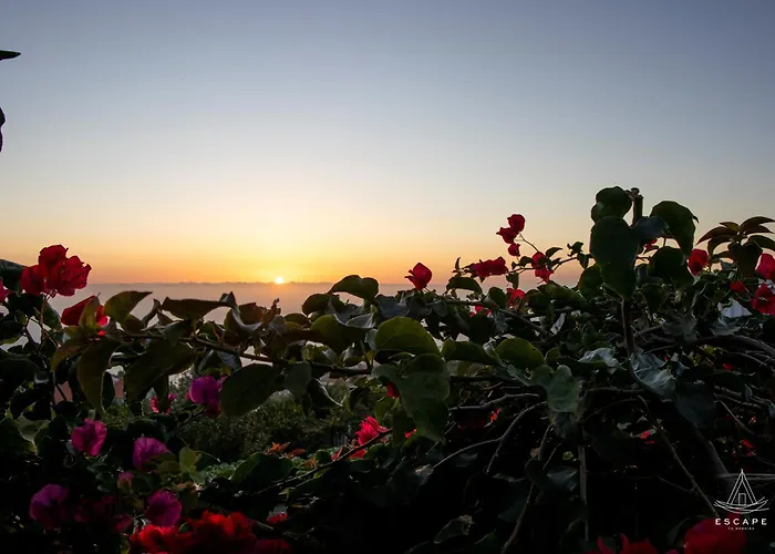 Karibo By Escape To Madeira