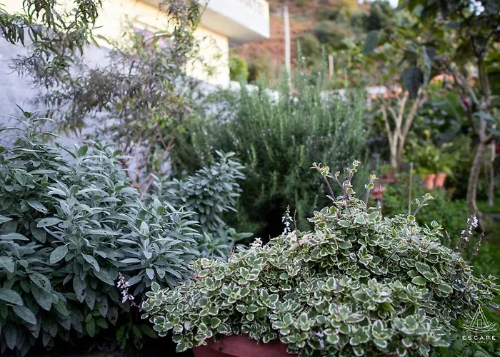 Karibo By Escape To Madeira