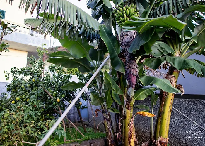 Karibo By Escape To Madeira *