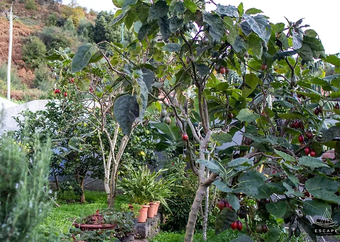 Villa Karibo By Escape To Madeira